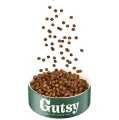Gutsy.webp