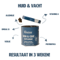 6 2.png
